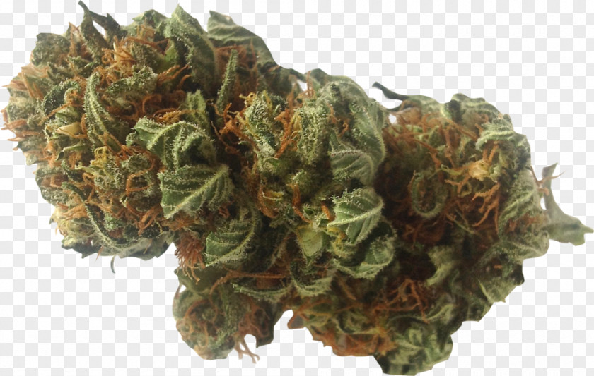 Cannabis Leaf Chart Medical Cannabidiol Kush Hemp PNG