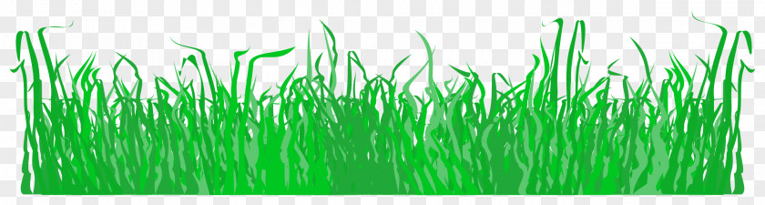 Grass Lawn Clip Art PNG