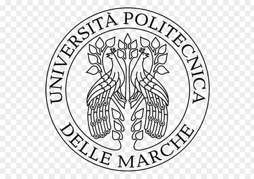 Student Marche Polytechnic University Of L'Aquila Bari Master's Degree PNG
