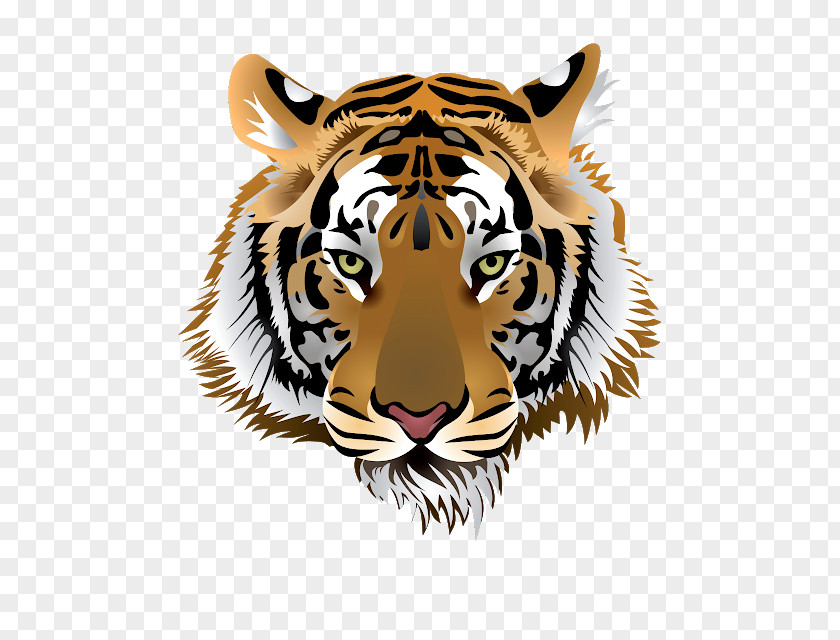 Tiger Vector Graphics Clip Art Image PNG