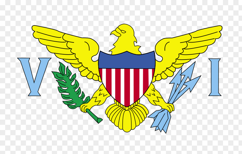 United States Flag Of The Virgin Islands PNG