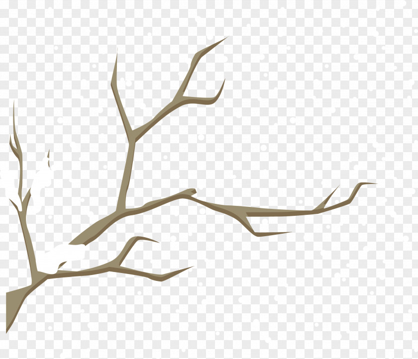 Vector Winter Branches Snow PNG