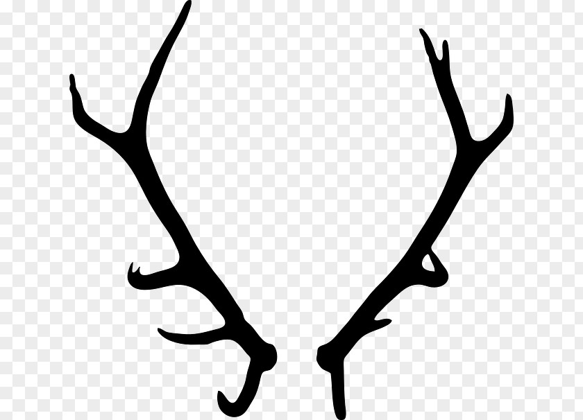Deer Elk Antler Clip Art PNG