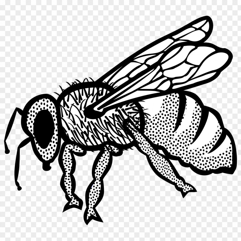 Fly Bee Insect Line Art Clip PNG