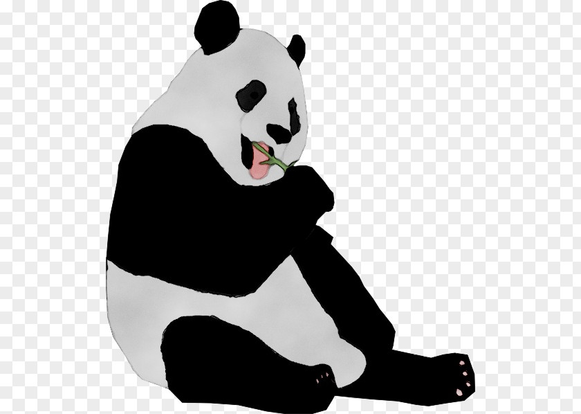 Giant Panda King Kong Restaurant Hyattsville Bear PNG