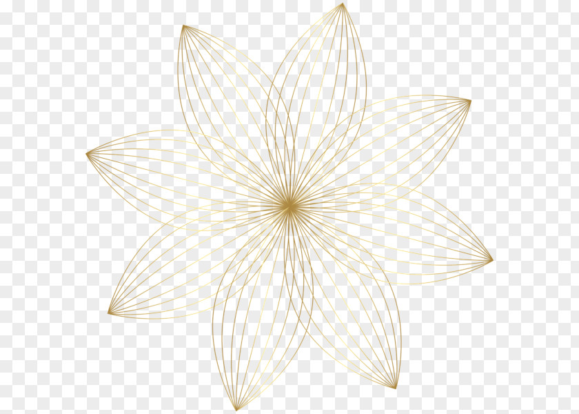 Gold Decoration Petal Symmetry Nelumbo Nucifera PNG