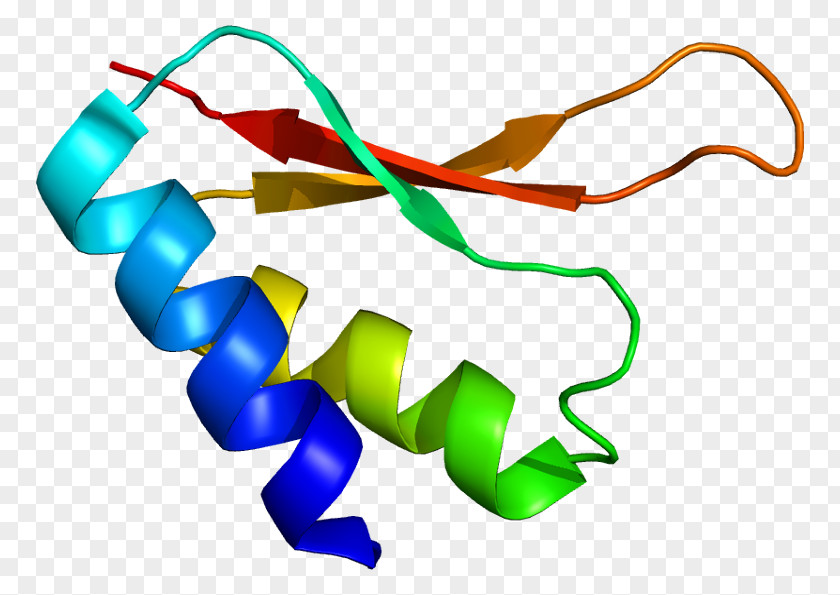 IGHMBP2 Gene Silencing Protein Mutation PNG