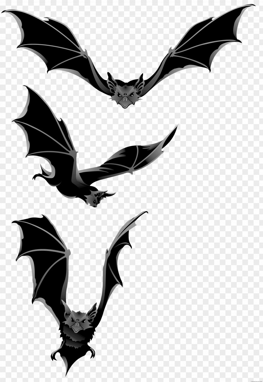 Logo Emblem Bat Cartoon PNG
