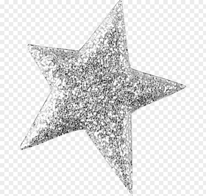 Metal Silver Glitter Star PNG