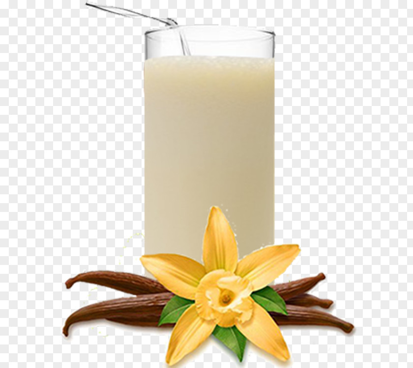 Vanilla Custard Rice Pudding Mousse Flavor PNG