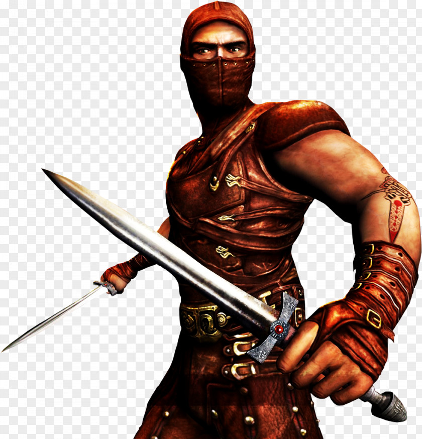 Assassin Banner Dark Messiah Of Might And Magic Video Games Sword MobyGames Spear PNG