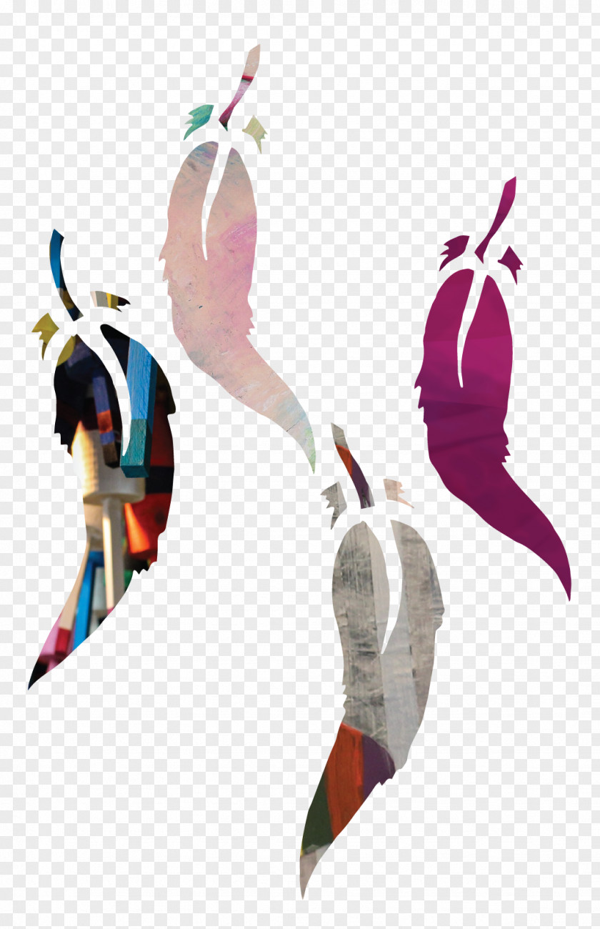 Bid Graphic Feather Illustration Graphics Beak PNG
