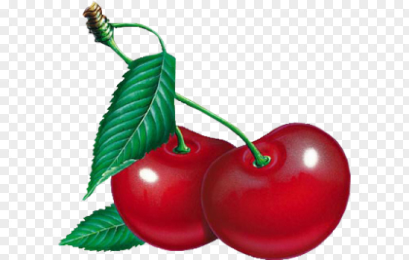 Cherry Image Transparency Clip Art Cherries PNG
