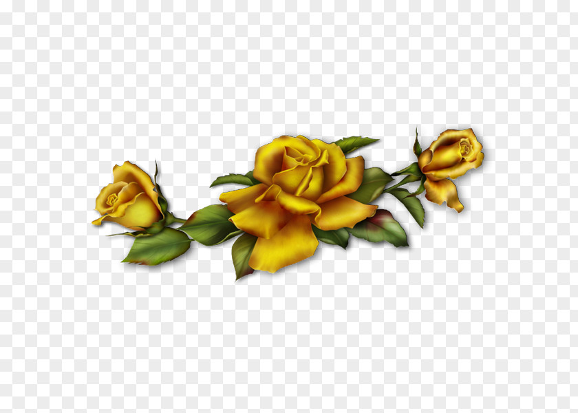 Golden Rose PNG