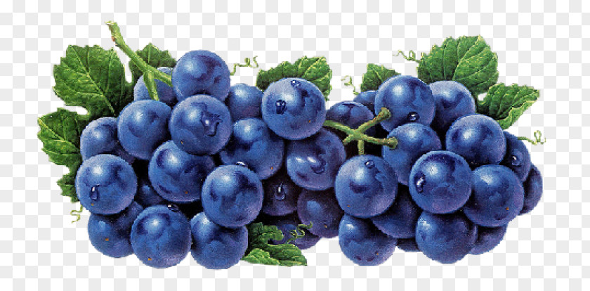 Grape Food Fruit Vegetable Auglis PNG