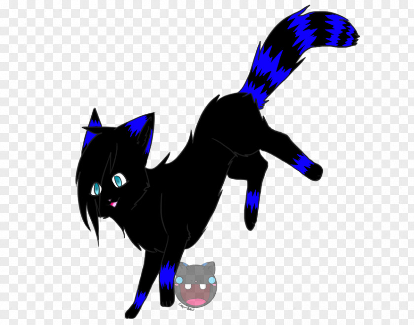 Kitten Black Cat Whiskers Horse PNG