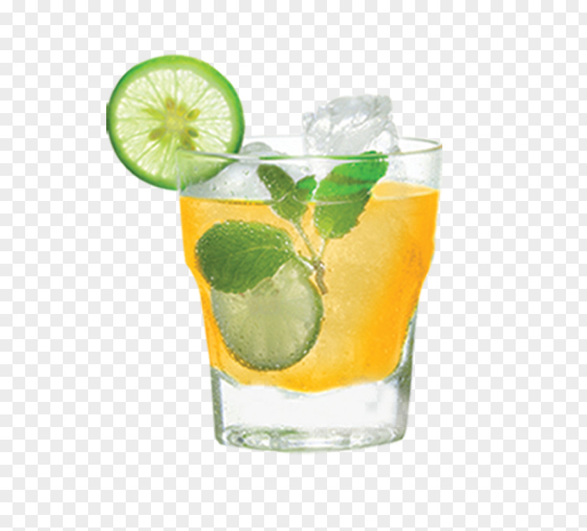 Tequila Shot Cocktail Garnish Lime Caipirinha Sea Breeze Harvey Wallbanger PNG