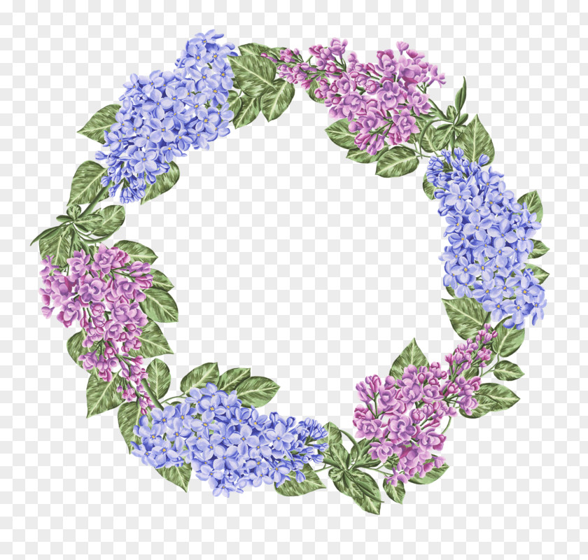 Cornales Violet Family Watercolor Wreath Background PNG