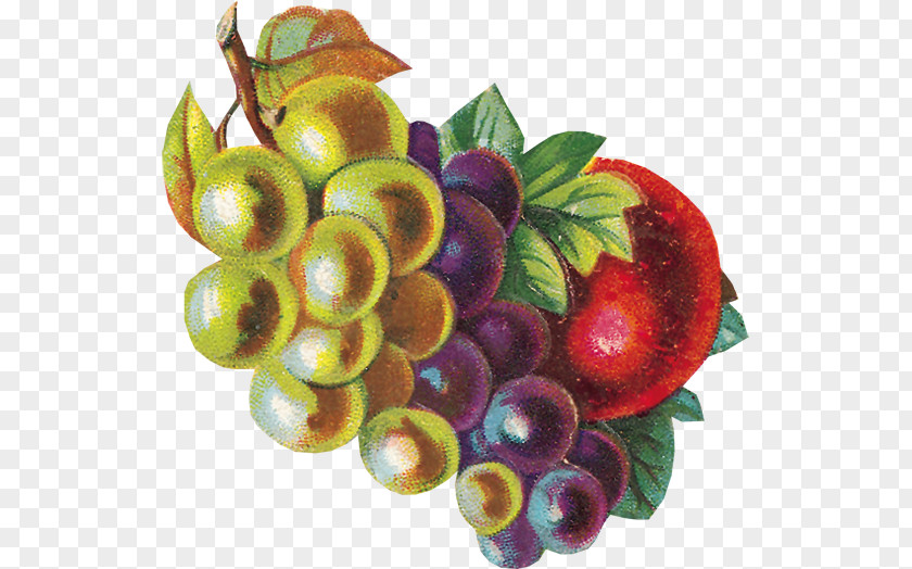 Frutas Cranberry Food Fruit Vegetarian Cuisine PNG