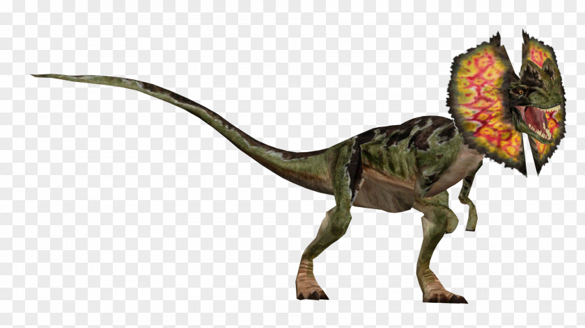 Jurassic Park 2 Velociraptor Tyrannosaurus Park: Operation Genesis Dilophosaurus PNG