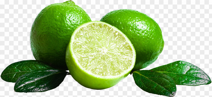 Lime Juice Lemon-lime Drink Extract PNG