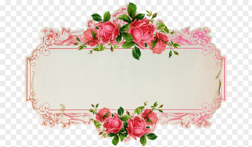 Rose Paper Label Sticker Flower PNG