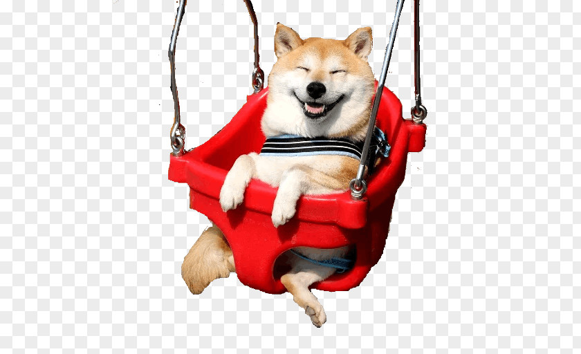 Shiba Inu Akita Guinea Pig Pet Marutaro PNG