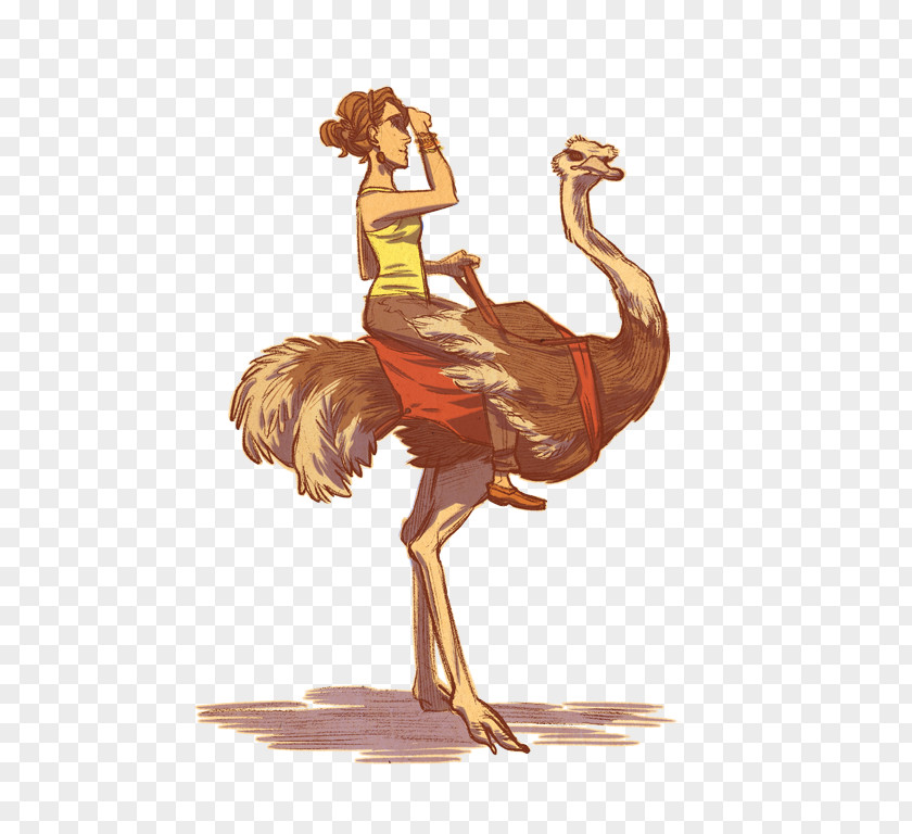 Bird Common Ostrich Drawing Jockey Racing PNG