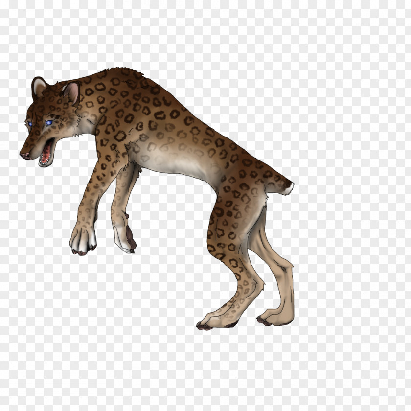 Fitra Cat Cheetah Mammal Animal Carnivora PNG