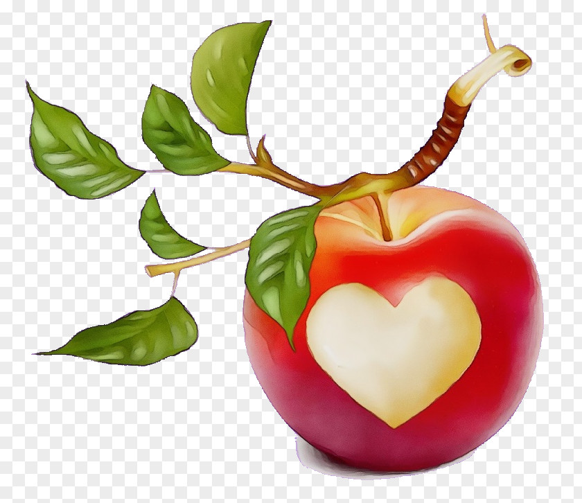 Heart Apple Fruit Natural Foods Plant Leaf Food PNG
