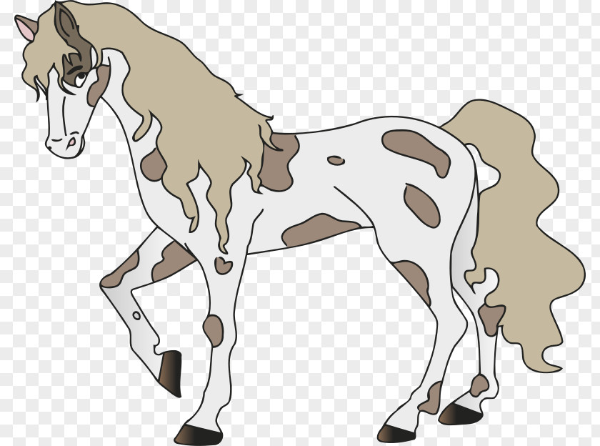 Mustang Mule Pony Foal Mare PNG