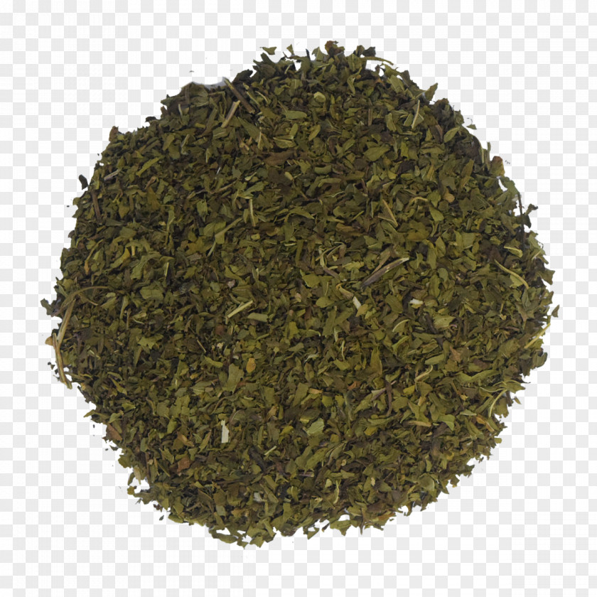 Plant Tea Nilgiri PNG