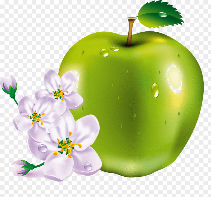 Apple Fruit MacBook Pro Clip Art PNG