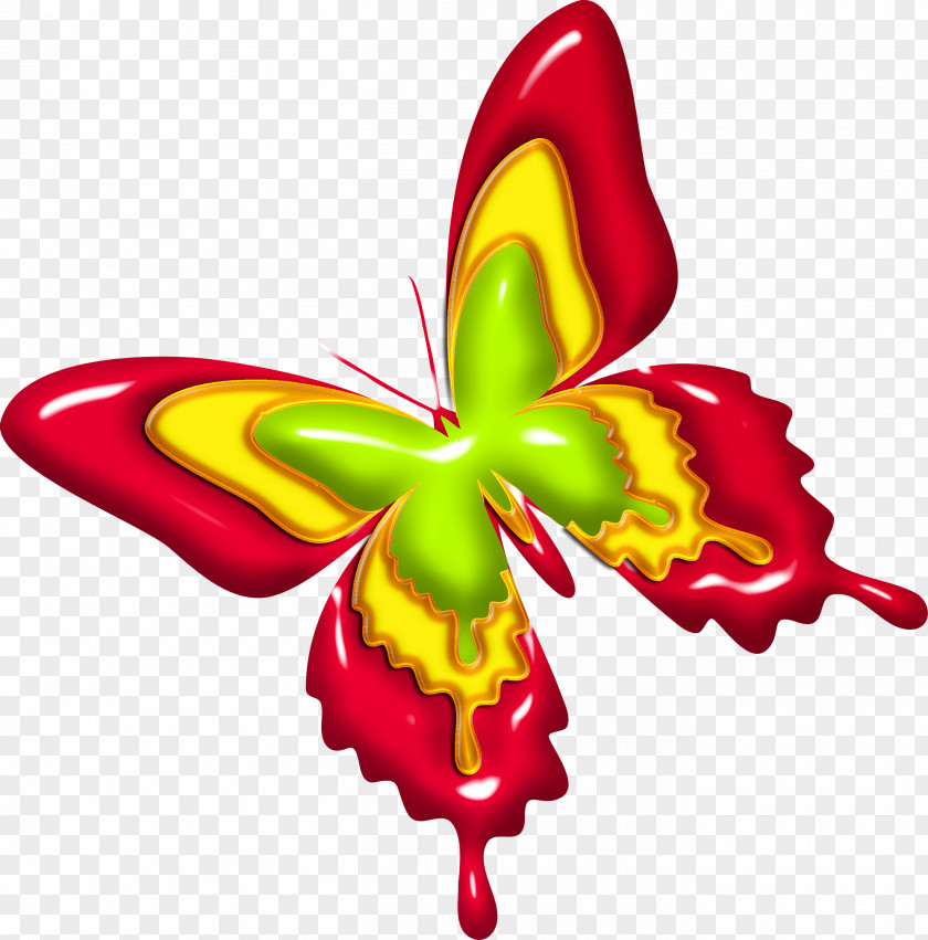 Camomile Butterfly Flower Clip Art PNG