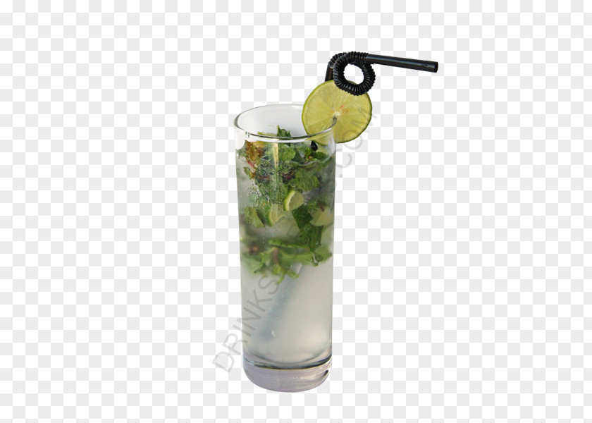 Cocktail Mojito Gin And Tonic Garnish Vodka Mint Julep PNG