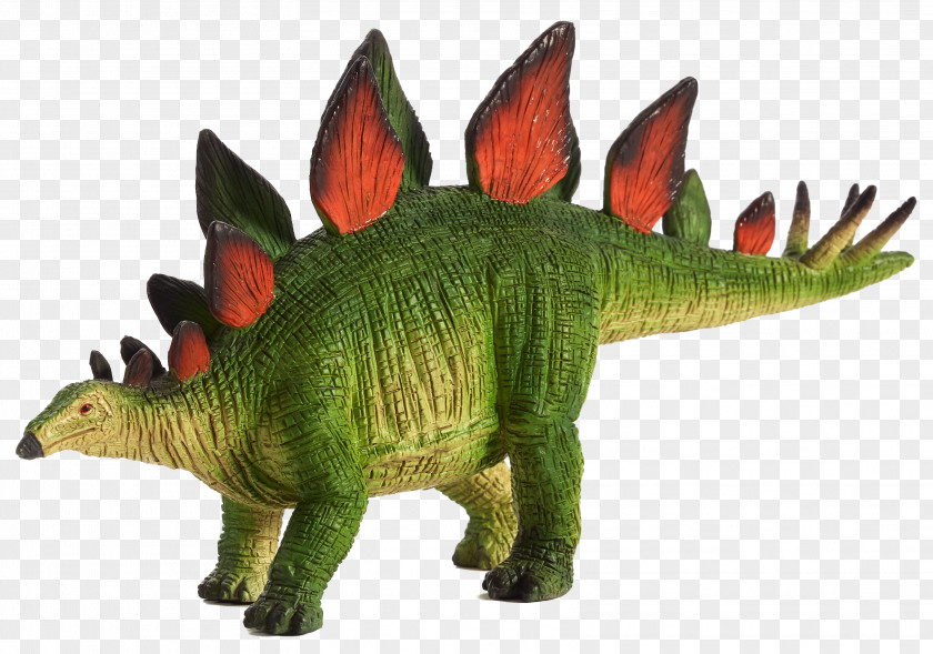 Dinosaur Stegosaurus Brachiosaurus Triceratops Diplodocus PNG