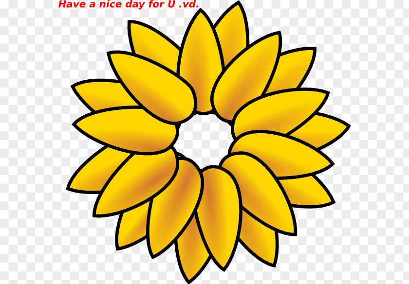 Drawing Common Sunflower Clip Art PNG