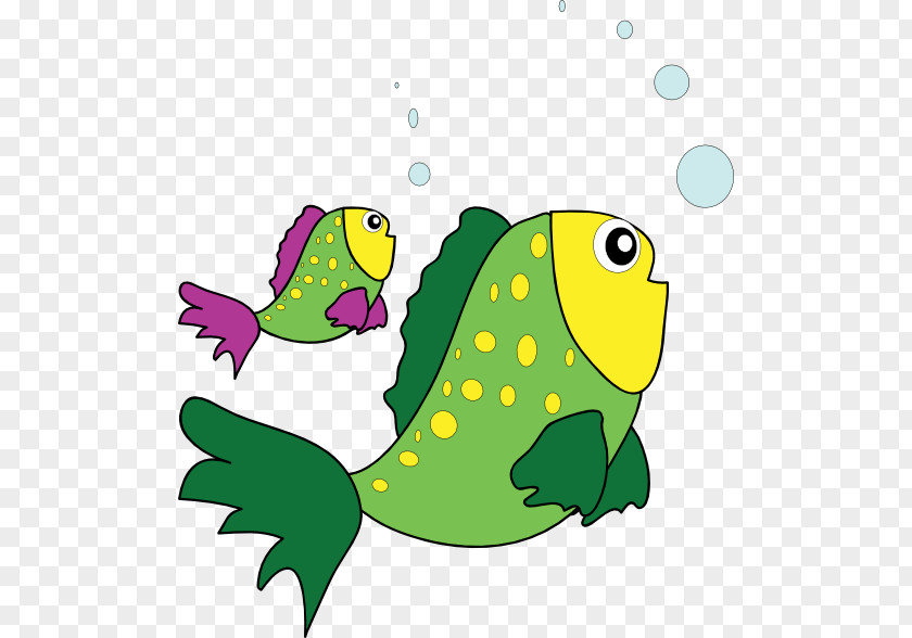 Fish Clip Art Cartoon Illustration Image PNG