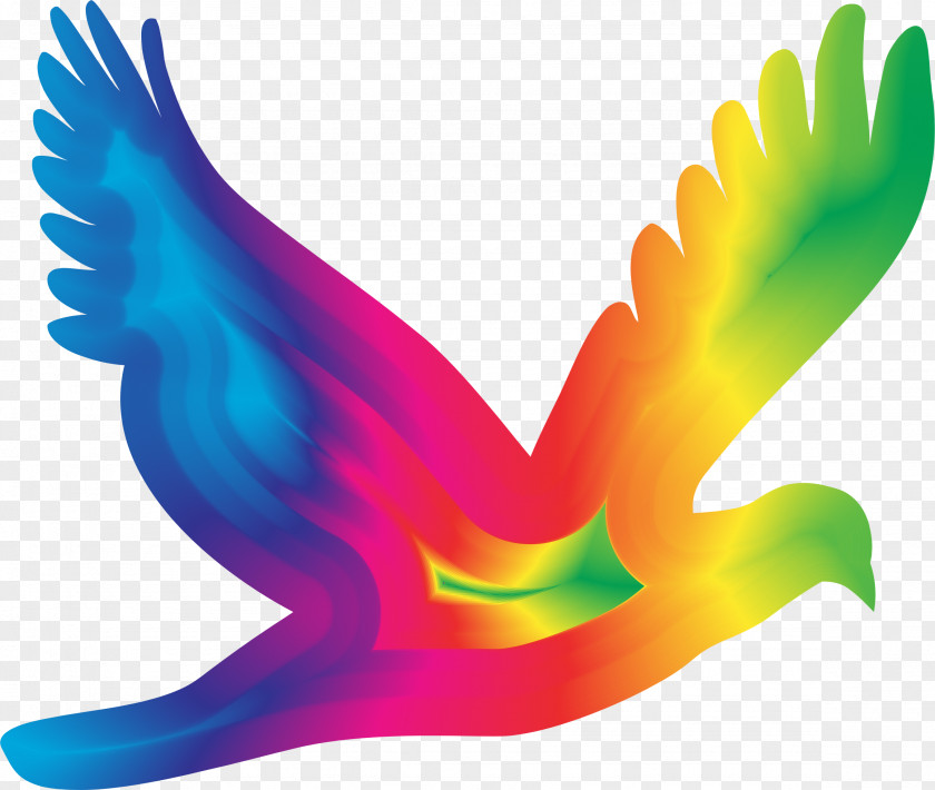Flying Dove Columbidae Bird Clip Art PNG