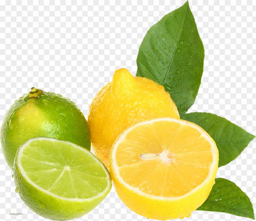 Lemon Water Juice Infusion Detoxification Bottles PNG