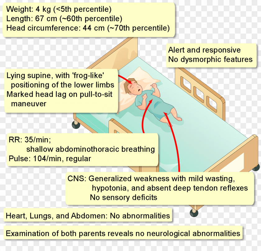 Line Document Angle Organism PNG