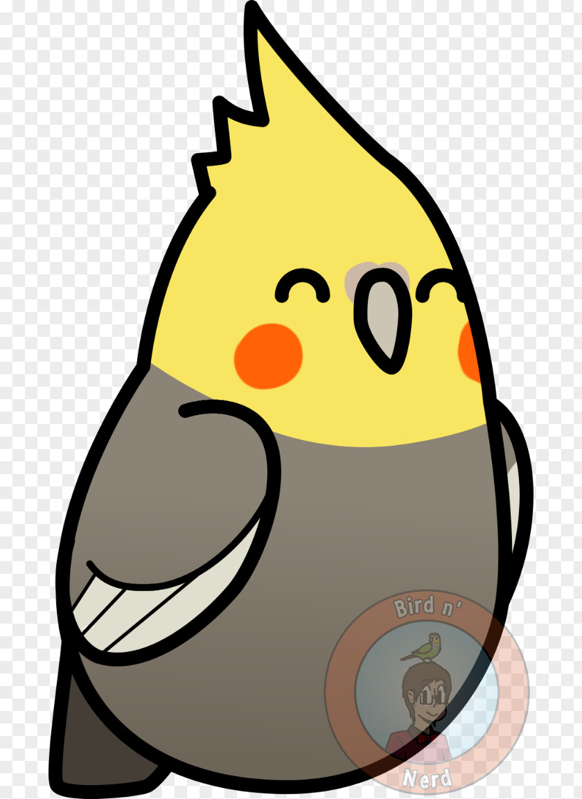 Parrot Cockatiel Lovebird Clip Art PNG