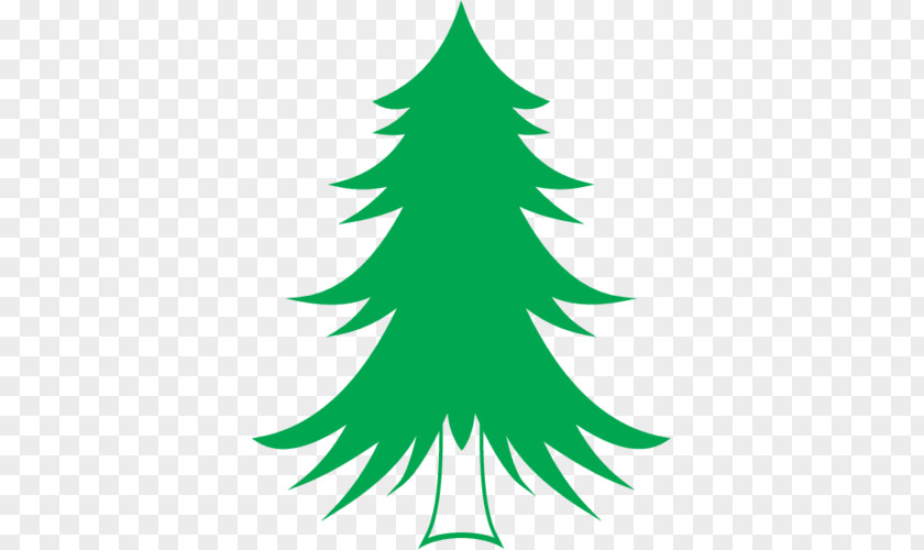 Tree Spruce Pine Abies Alba Christmas PNG