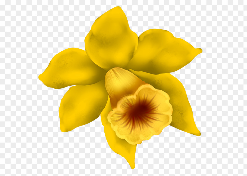 Chickadee Daffodil Clip Art PNG