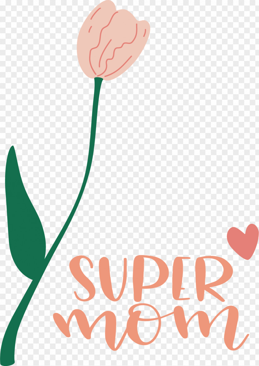 Floral Design PNG