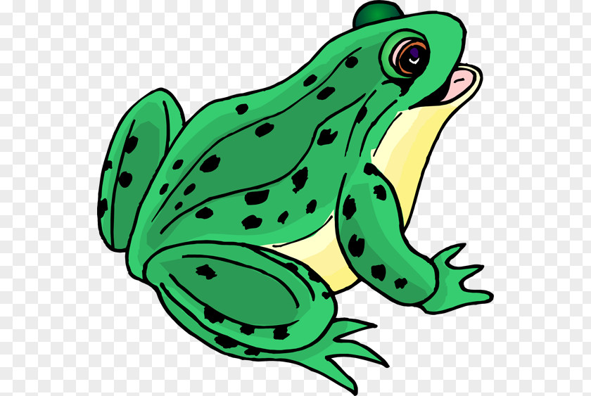 Frog Clip Art Tree PNG