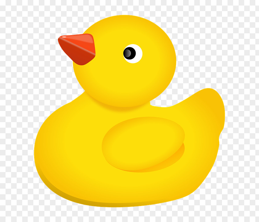 Rubber Duck PNG duck clipart PNG