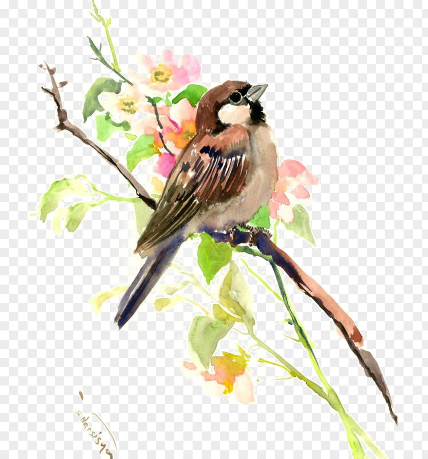 Sparrow House Watercolor Painting Bird PNG
