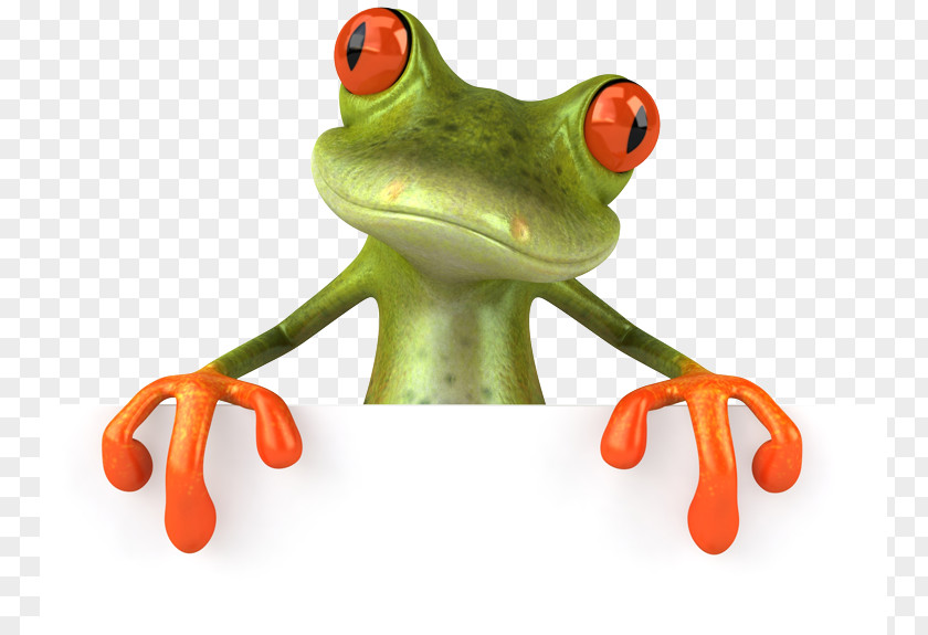 Frog Stock Photography Toad PNG