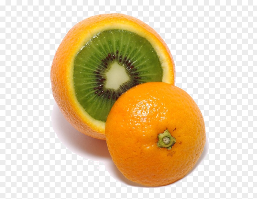 Orange Clementine Tangelo Mandarin Tangerine Fruit Salad PNG